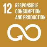 12 Responsible consumption and production